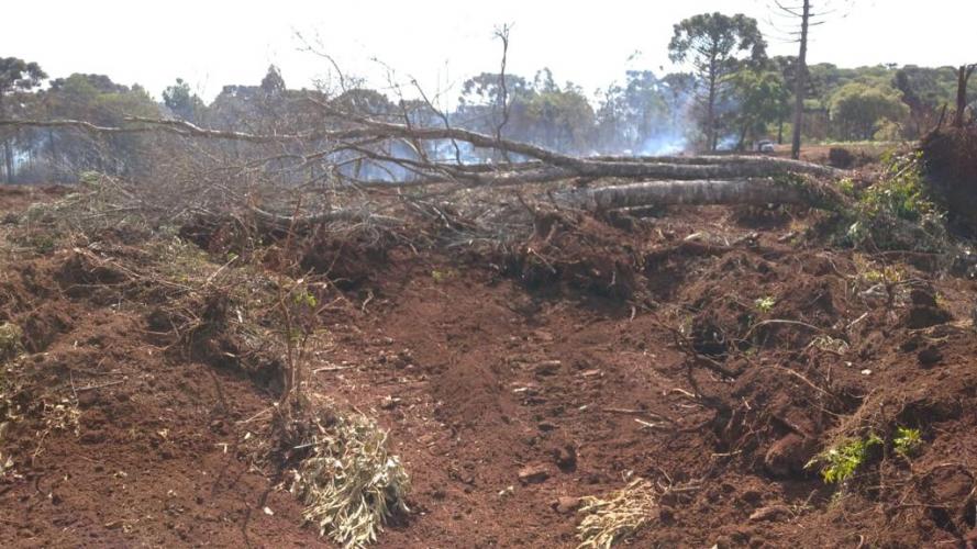 Foto: Divulgação Sedest/IAT