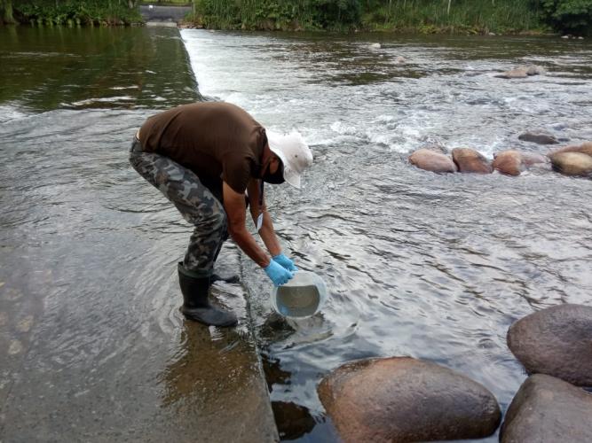 acidente ambiental Guaratuba
