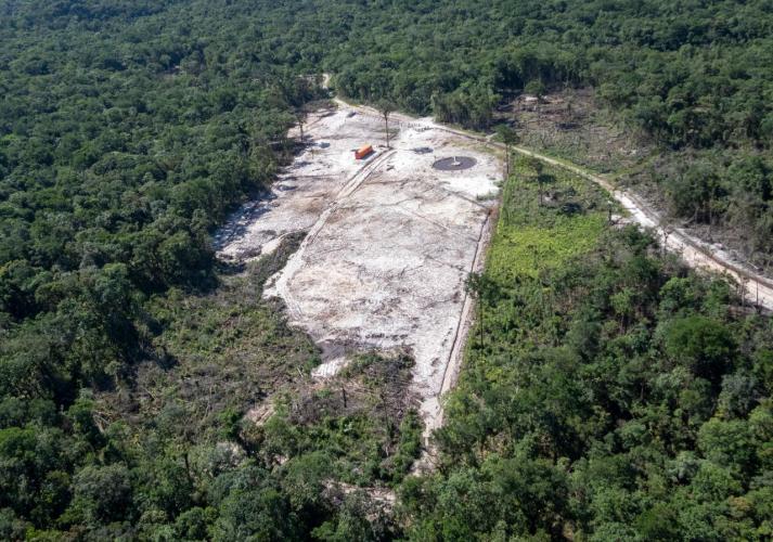 Corte irregular de vegetação Nativa no Litoral