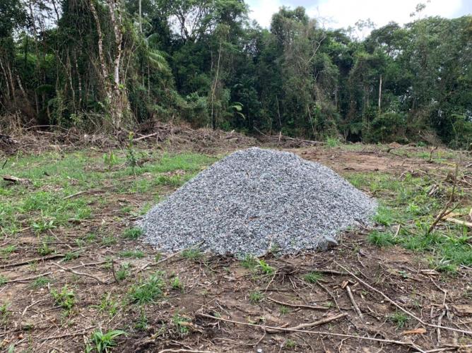 Corte irregular de vegetação Nativa no Litoral