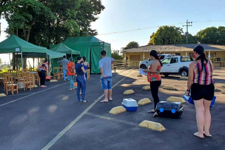 O CastraPet, Programa Permanente de Esterilização de Cães e Gatos, estará em Piraquara, entre os dias 25 e 29 de maio, para castrar mais de 700 animais domésticos no município. Foto:SEDEST