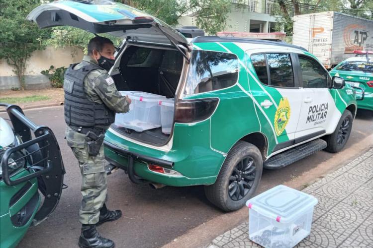 apreensão de animais