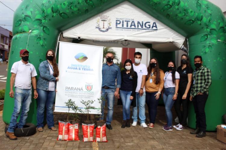 Distribuição de mudas Pitanga