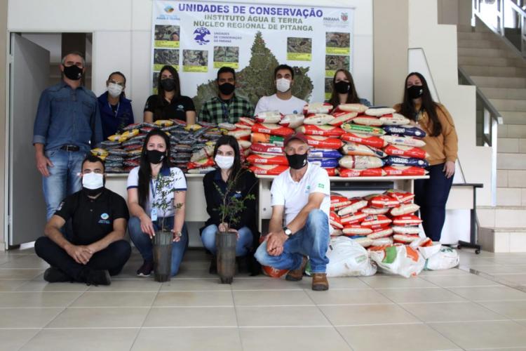 Distribuição de mudas Pitanga