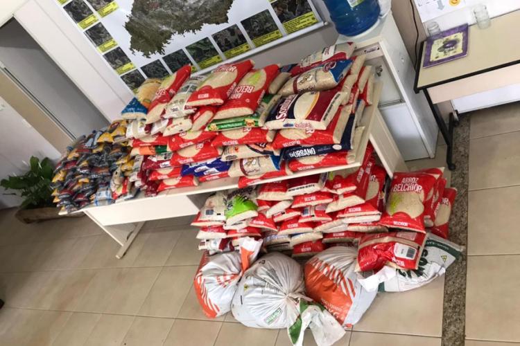 Distribuição de mudas Pitanga