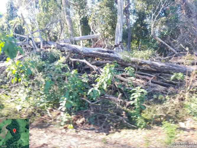 Fiscais do Instituto Água e Terra (IAT) identificaram mais de 100 hectares (ha) de desmatamento na região Centro-Sul do Estado, na última semana. O IAT é um órgão vinculado à Secretaria do Desenvolvimento Sustentável e do Turismo (Sedest). - Curitiba, 05/07/2021 - Foto: SEDEST/IAT