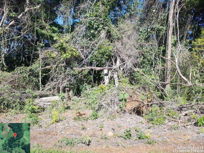 Fiscais do Instituto Água e Terra (IAT) identificaram mais de 100 hectares (ha) de desmatamento na região Centro-Sul do Estado, na última semana. O IAT é um órgão vinculado à Secretaria do Desenvolvimento Sustentável e do Turismo (Sedest). - Curitiba, 05/07/2021 - Foto: SEDEST/IAT