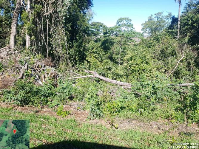 Fiscais do Instituto Água e Terra (IAT) identificaram mais de 100 hectares (ha) de desmatamento na região Centro-Sul do Estado, na última semana. O IAT é um órgão vinculado à Secretaria do Desenvolvimento Sustentável e do Turismo (Sedest). - Curitiba, 05/07/2021 - Foto: SEDEST/IAT