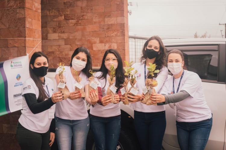 Campanha Floresce Paraná