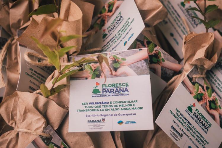 Campanha Floresce Paraná