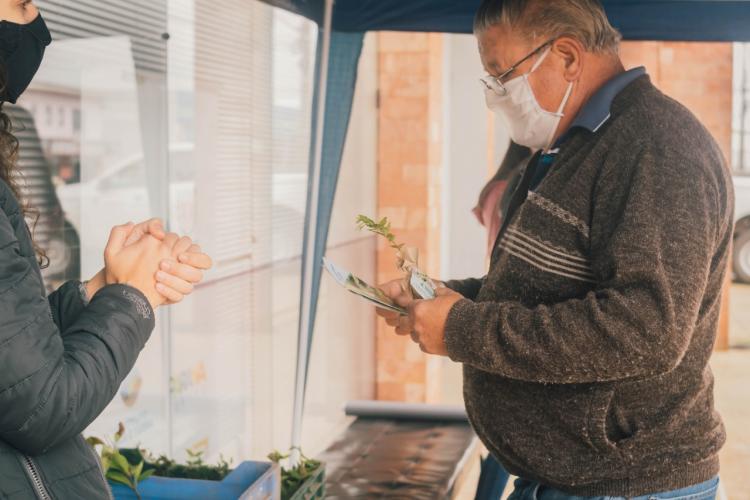 Campanha Floresce Paraná