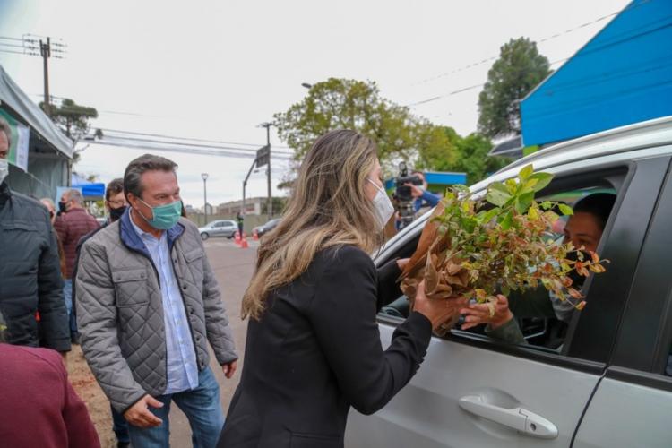 Campanha Floresce Paraná