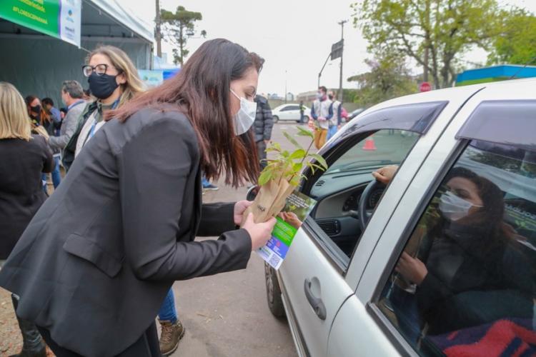 Campanha Floresce Paraná