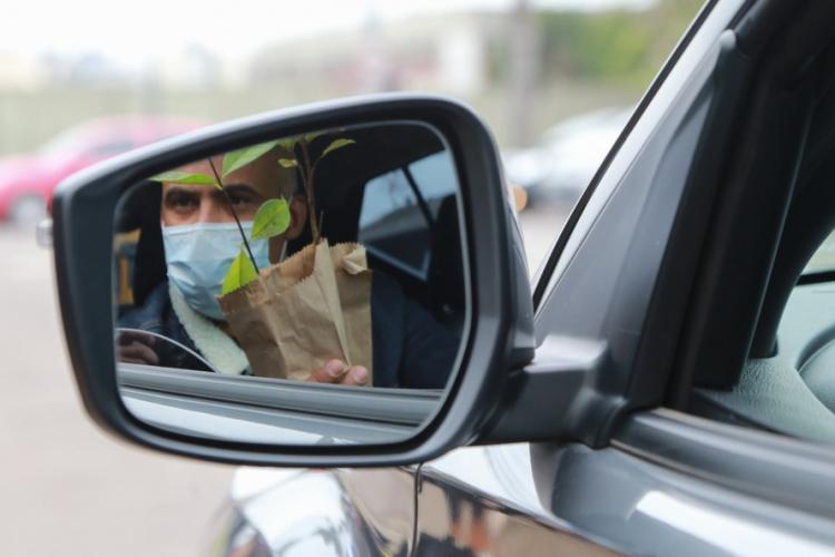Campanha Floresce Paraná