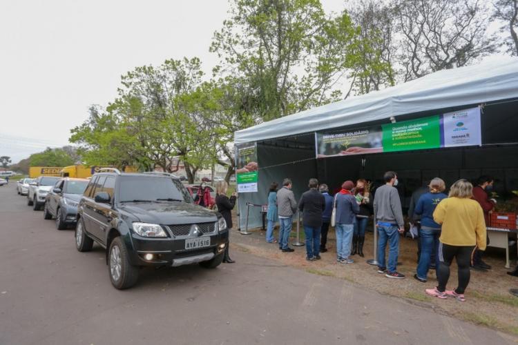 Campanha Floresce Paraná