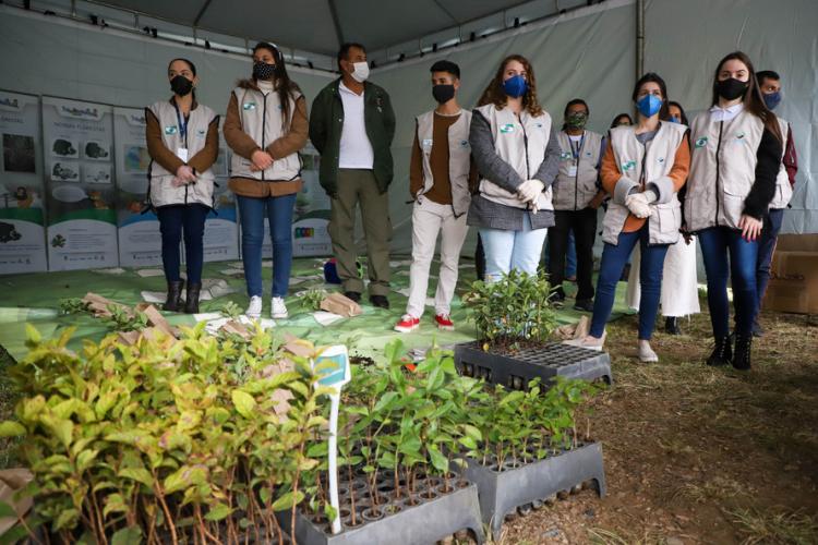Campanha Floresce Paraná
