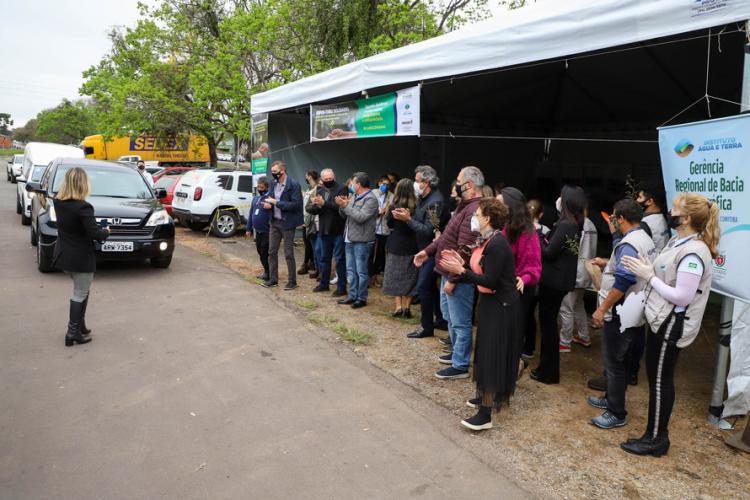 Campanha Floresce Paraná