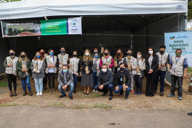 Campanha Floresce Paraná