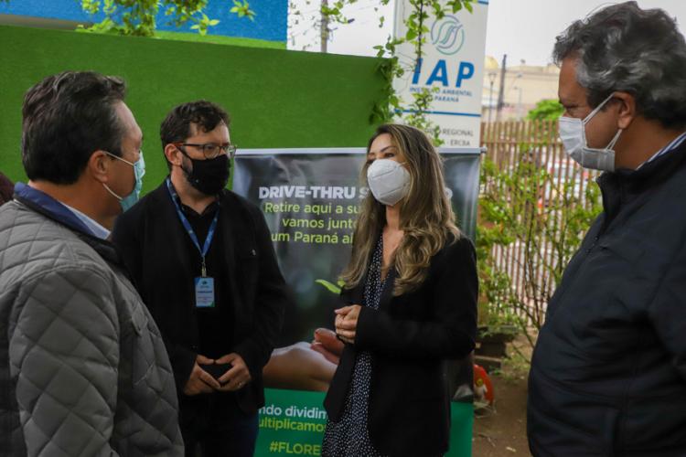 Campanha Floresce Paraná