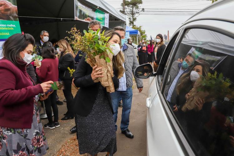 Campanha Floresce Paraná