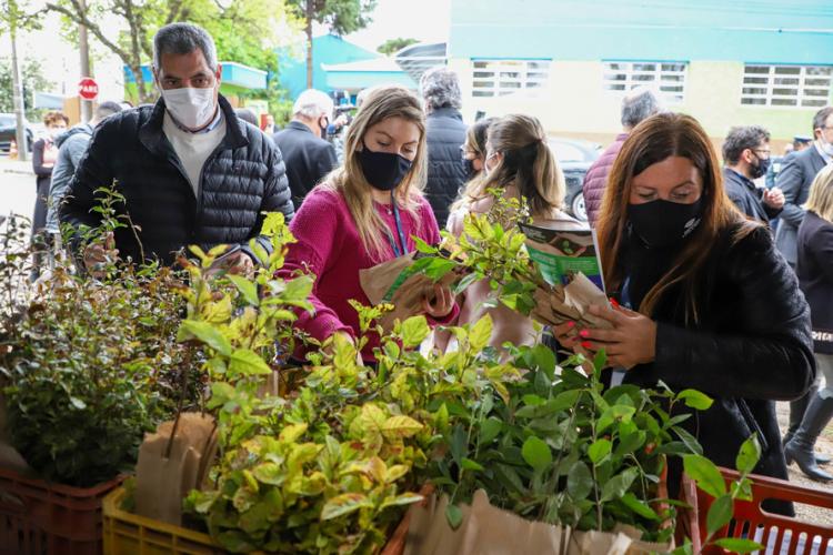 Campanha Floresce Paraná