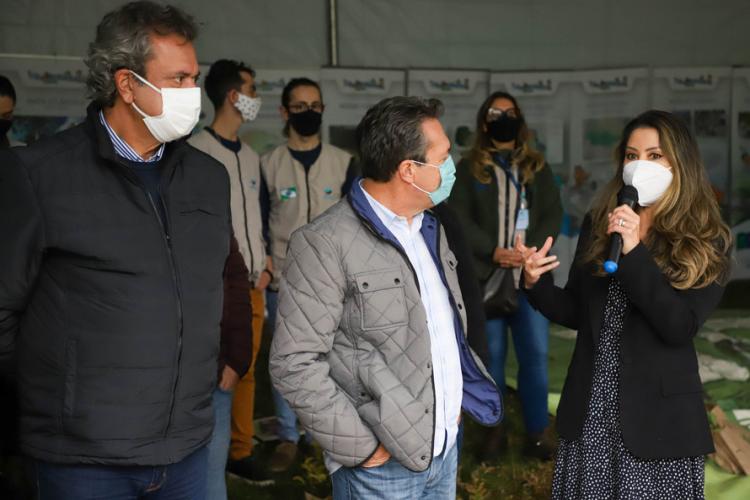 Campanha Floresce Paraná