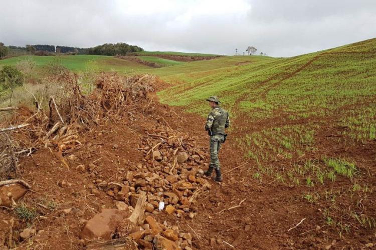 Operação Nascente Viva