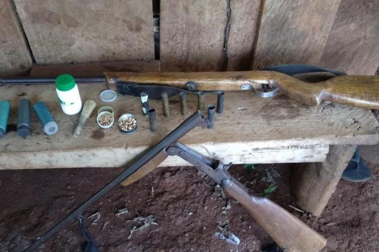 Mata Atlântica em Pé