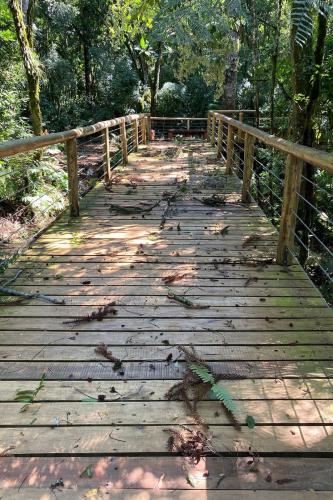 Temporal danifica estrutura do Parque Estadual Vitório Piassa, em Pato Branco - Pato Branco, 29/11/2021