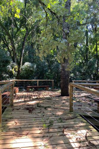 Temporal danifica estrutura do Parque Estadual Vitório Piassa, em Pato Branco - Pato Branco, 29/11/2021