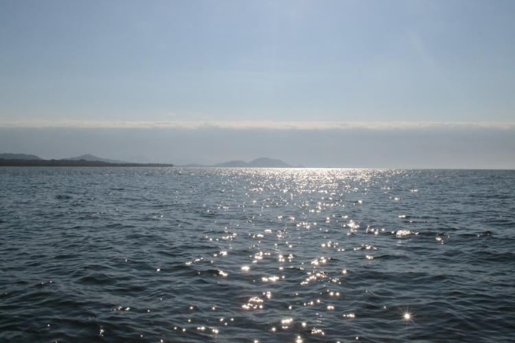 Ilha das Cobras