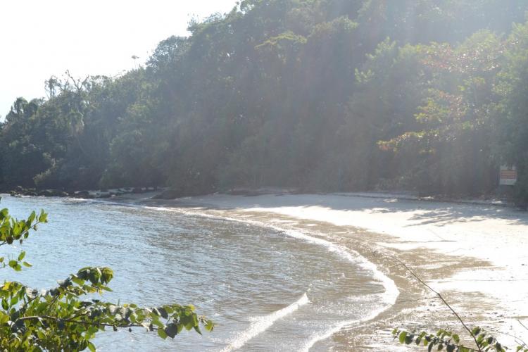 Ilha das Cobras