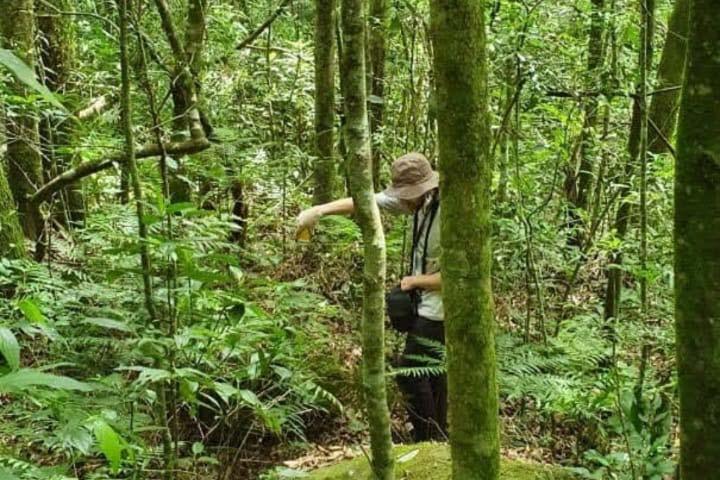 Trilha São Francisco