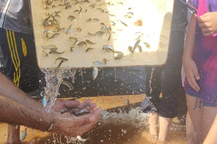 Soltura de peixes em Missal