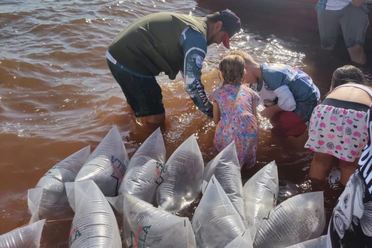 Soltura de peixes em Missal