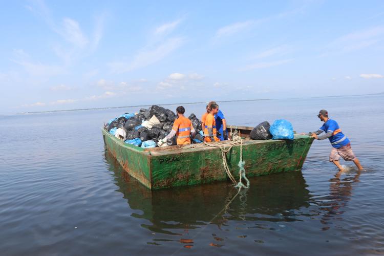 Recolhimento de lixo Litoral