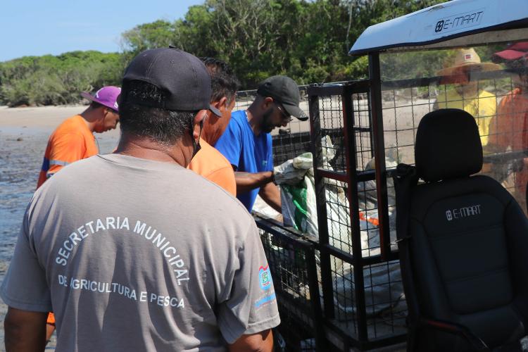 Recolhimento de lixo Litoral