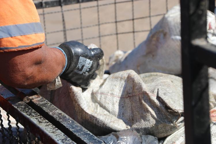 Recolhimento de lixo Litoral