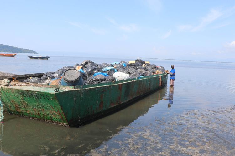 Recolhimento de lixo Litoral