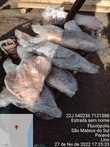 Fiscalização Piracema