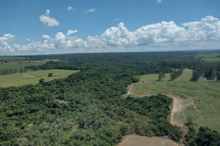 Fiscalização aérea