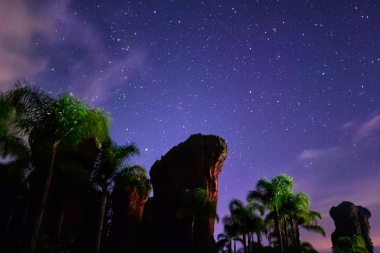 Caminhada Noturna