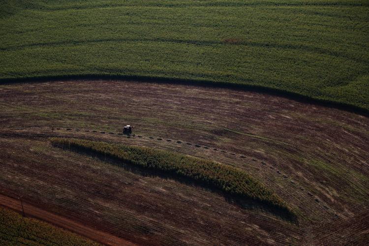 Estado e Faep divulgam cartilha para ajudar produtores rurais com questões ambientais.