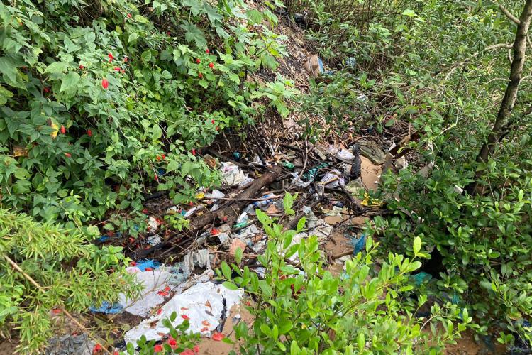 Toneladas de resíduos são retirados de manguezais no Litoral do Paraná