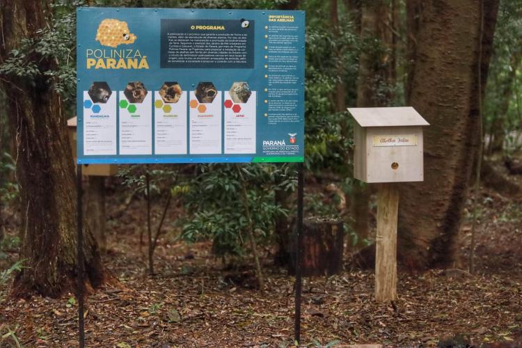 Poliniza em Parques Urbanos