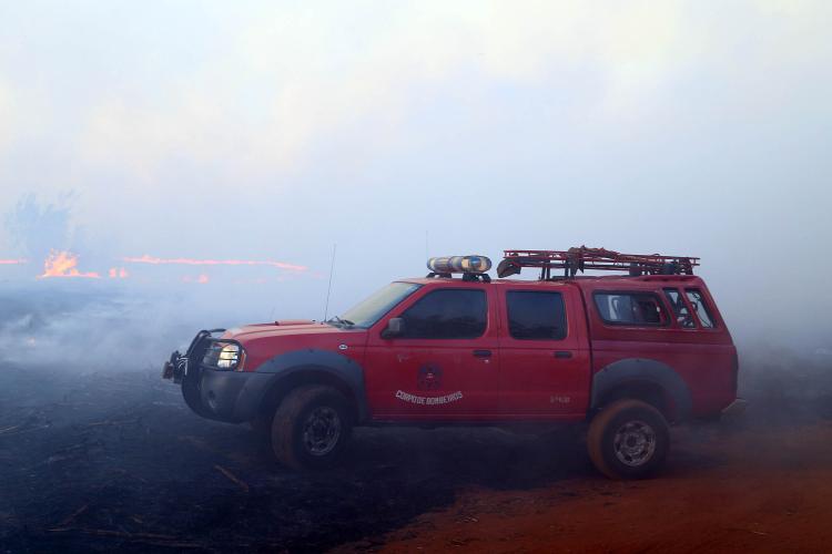 Estado alerta para necessidade de cuidados contra incêndios florestais - Foto: Gilson Abreu/AEN