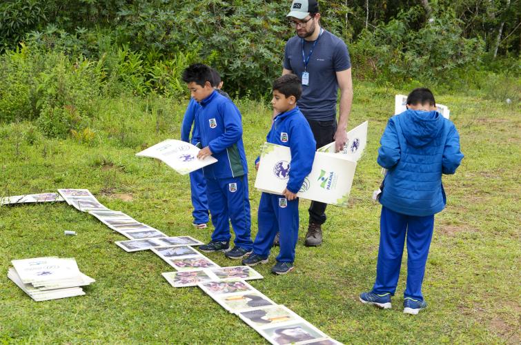 Educação ambiental