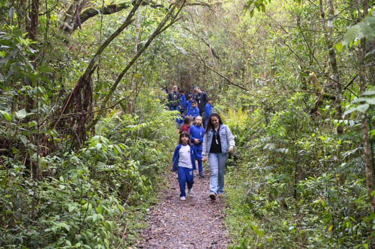 Educação ambiental