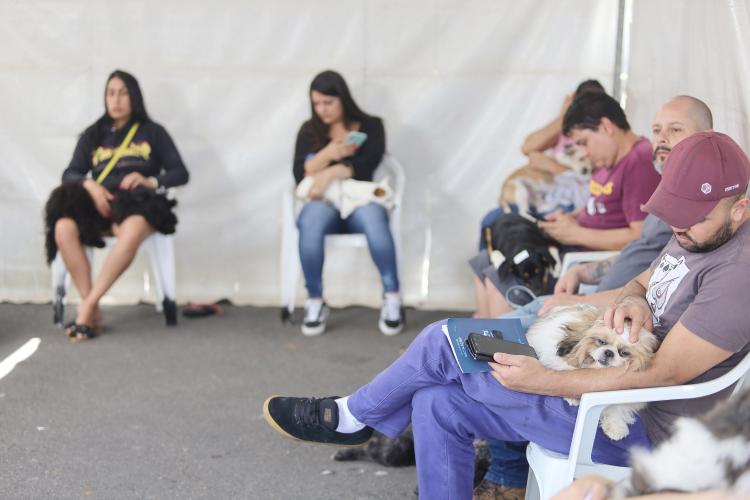 Mais de 2 mil cães e gatos serão atendidos pelo CastraPet Paraná nesta semana.