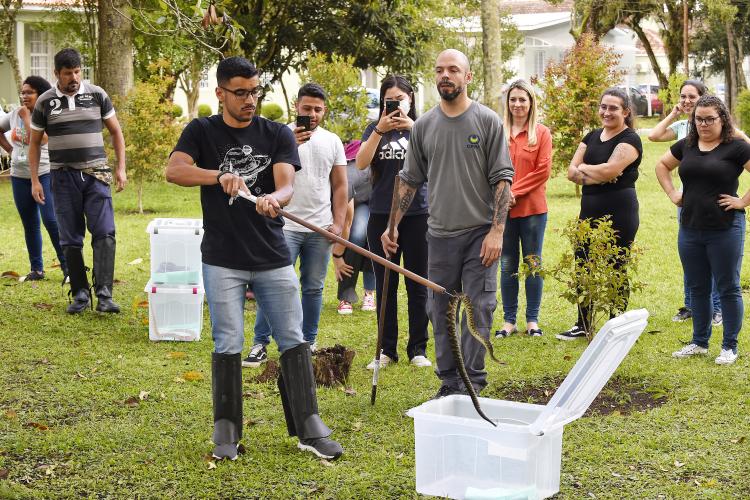 IAT reúne gestores municipais para orientação sobre atendimento aos animais silvestres vitimados Foto: Denis Ferreira Netto/SEDEST
